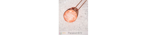 Paraloid B72 100 g