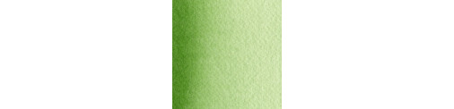 C&R: 358 - Sap Green Acuarela Maimeri Blu 1.5ml