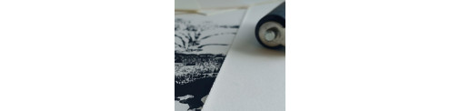 C&R: Papel para grabado Edition blanco antiguo 250 g/m2 - Canson®