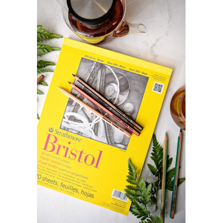 C&R: Croquera Bristol 270g 20 Hojas Serie 300 - Strathmore