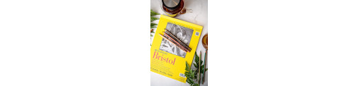 C&R: Croquera Bristol 270g 20 Hojas Serie 300 - Strathmore