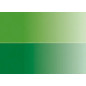 Verde Hooker Claro/Verde Hooker Oscuro 15 - Acuarela Aquafine 1/2 godet - Daler Rowney Verde Hooker Claro/Verde Hooker Oscuro 15 - Acuarela Aquafine 1/2 godet - Daler Rowney