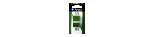 C&R: Verde Vejiga/Verde Oliva 16 - Acuarela Aquafine 1/2 godet - Daler Rowney