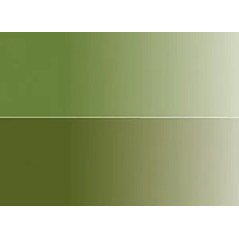 Verde Vejiga/Verde Oliva 16 - Acuarela Aquafine 1/2 godet - Daler Rowney