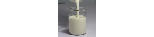 Látex natural Blanco