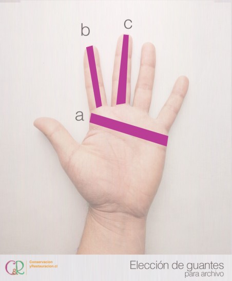 T-XXL Guantes de algodón para archivo